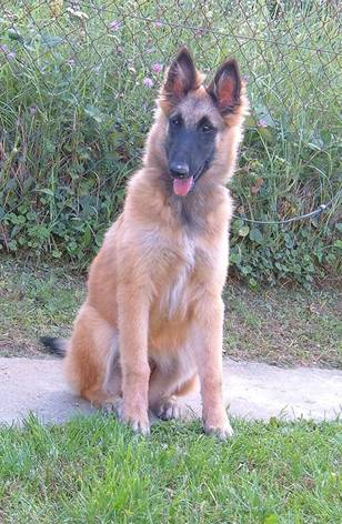 44415_147819295236086_100000240494051_382383_2829676_n