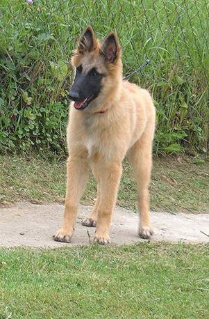 39106_142470785770937_100000240494051_350989_4534902_n