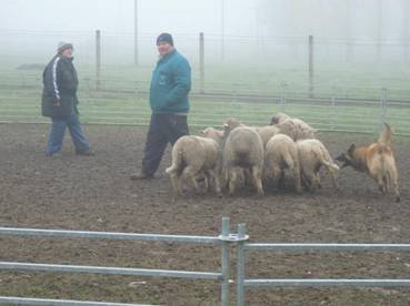 628_553070098043276_337909059_n