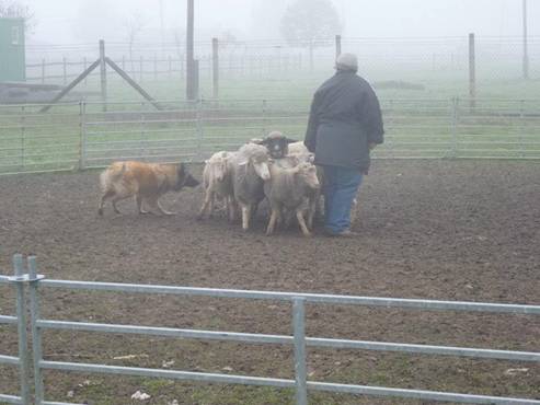 416949_553070148043271_1102196659_n