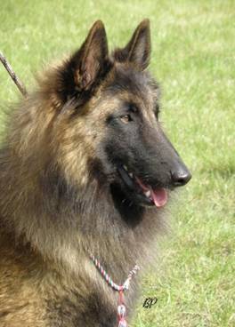 15954_102819313069418_100000240494051_80099_5506535_n