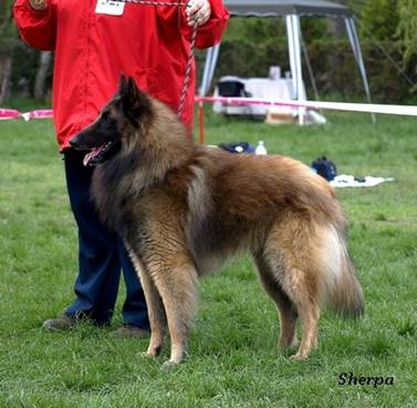 25256_117237428294273_100000240494051_222537_4947802_n