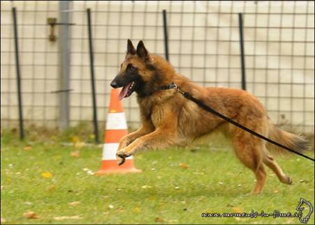 15954_102821916402491_100000240494051_80171_6298869_n